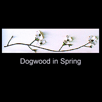 leather sculpture of dogwood branch