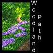 acrylic landscape painting of woodland path