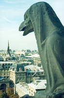 photograph of Notre Dame gargoyle