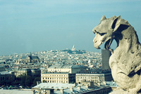photograph of Notre Dame gargoyle